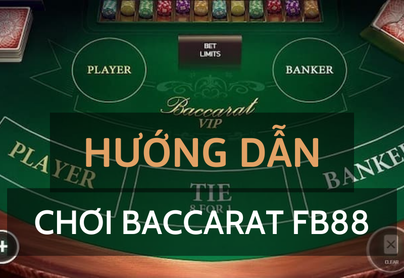 Khám phá trải nghiệm hấp dẫn với Bar Bar Black Sheep 5 Reel cùng nhiều phần thưởng bất ngờ