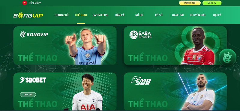 Hướng dẫn chi tiết cách nạp the vn ff an toàn hiệu quả năm 2024